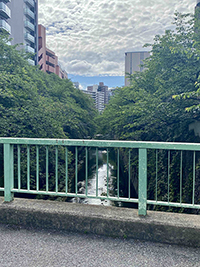 神田川画像