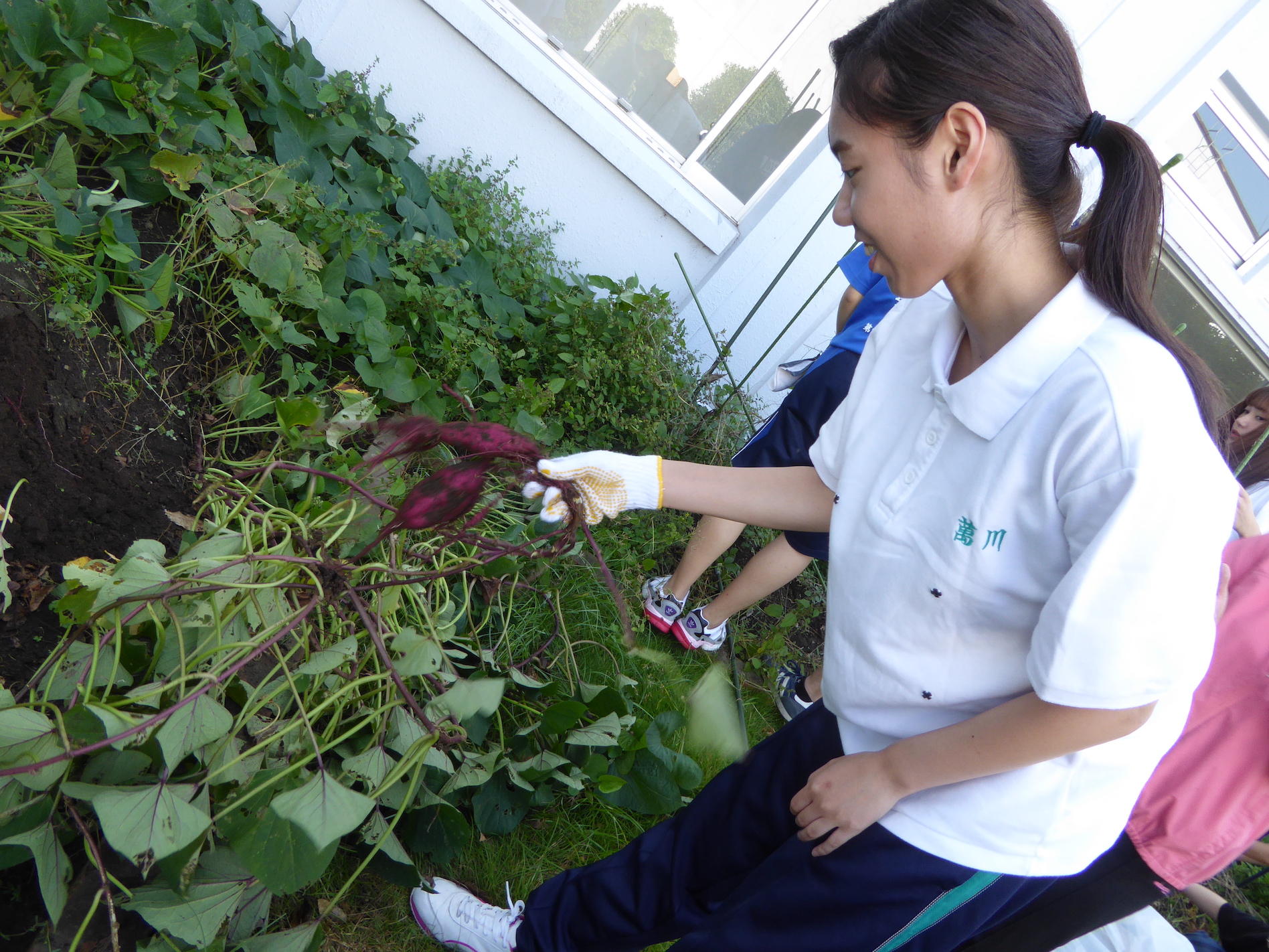 4年間の学び 川村学園女子大学 4年間の学び 川村学園女子大学