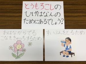 ゼミ紹介 叶内ゼミ 附属保育園で食育活動をしました 川村学園女子大学 ゼミ紹介 叶内ゼミ 附属保育園で食育活動をしました 川村学園女子大学